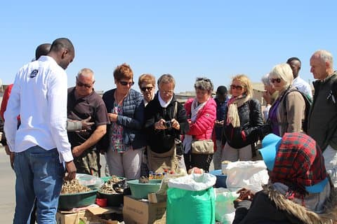Visite d'une journée de l'expérience culturelle locale historique de Swakopmund pour les navires de croisière