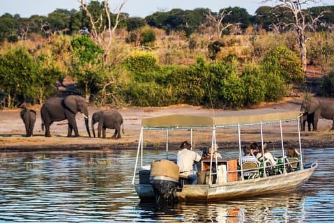 Chobe Day Trip