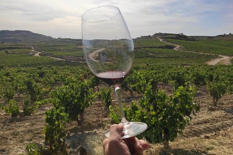Rioja wijntour : bezoek aan het wijnhuis en lunch vanuit Pamplona