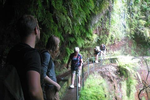 Levada do Rei - Ribeiro Bonito (caminata de día completo)