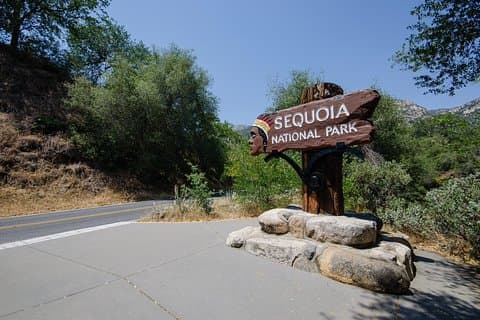 Excursão privada ao Sequoia Park
