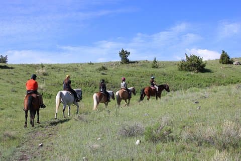 Blue Flower Trail Ride