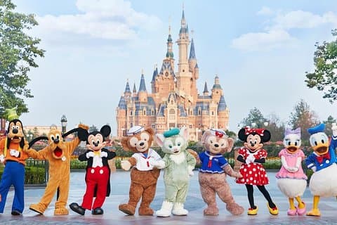1 Tageskarte für Disneyland Shanghai und privates Transferpaket