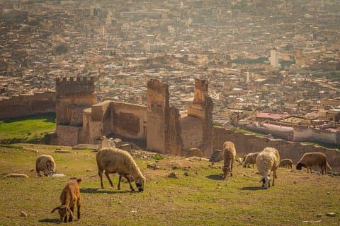 Fes dagstur fra Casablanca