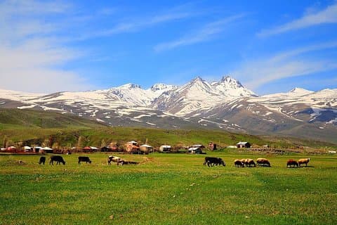 Mount Aragats, Amberd Fortress, Saghmosavank Monastery, Alphabet - private tour