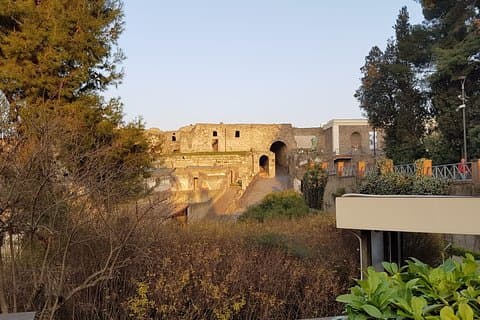 Pompeii & Herculaneum Guided Tour w/ Driver & Minivan + English-Speaking guide