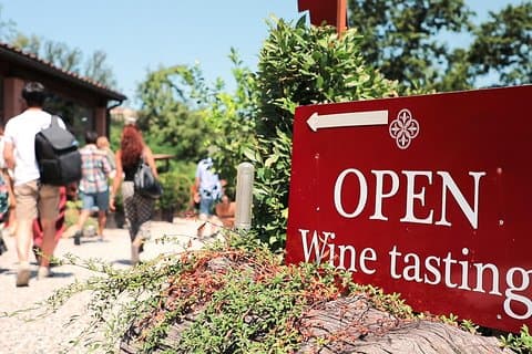 Visite des vins du Chianti : deux dégustations de vins, visite des vignobles et de la cave