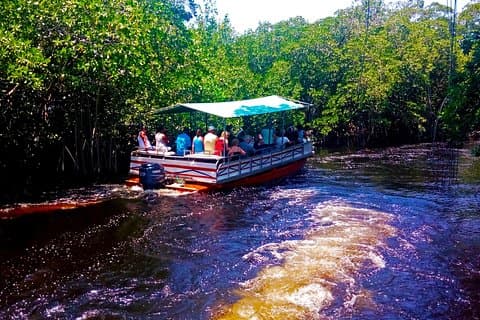 Black  River Safari * YS Falls  *  Appleton Rum Tour