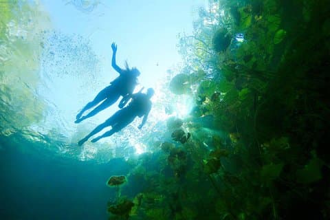 Unforgettable Xenotes Tour: Discover and Explore This Hidden Gem!