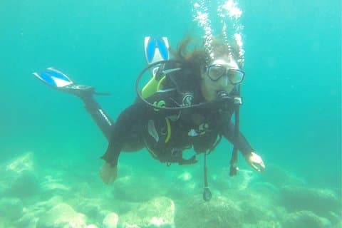 Introdive