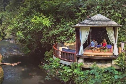 Erleben Sie ein romantisches Picknick am Flussufer in den Hängenden Gärten von Bali