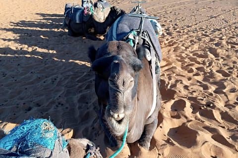 Kleine Gruppe 3 Tage Wüstentrip von Fes nach Marrakesch
