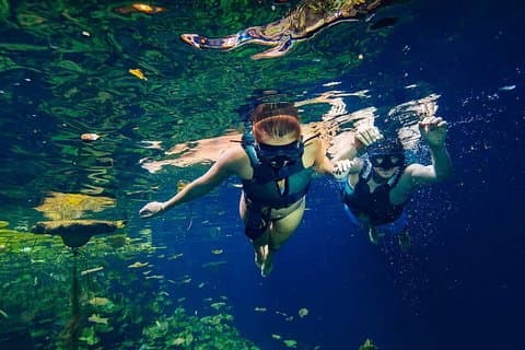 Rejseguide Xenotes Afrejse fra Playa del Carmen