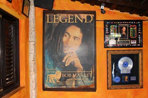 Bob Marley Nine Mile - Dunn's River Falls og Columbus Park Day Adventure