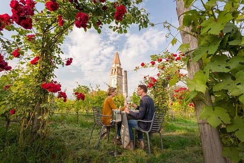 NYHET : Native Venice Wine Experience tur og smaksprøve