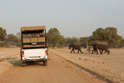 Game Drive i Mosi-Oa-Tunya National Park