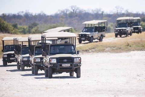 Safari di campeggio di 2 giorni e 2 notti nel Parco nazionale di Chobe