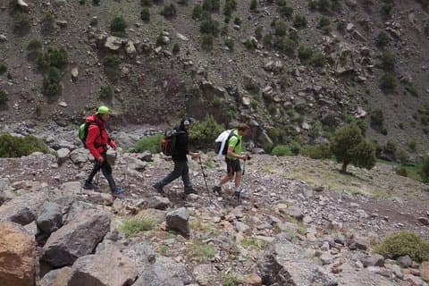 Halv dag Vandring mellom palmer og dal i agadir