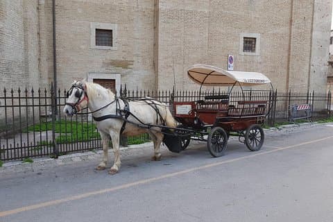 passeggiando in carrozza nelle campagne Assisane