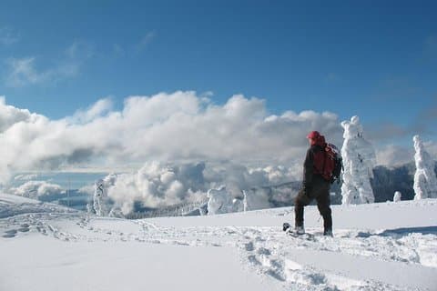 Truger på Crystal Mountain ved Mount Rainier