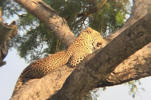 3-Day Wildlife Adventure in Queen Elizabeth National Park