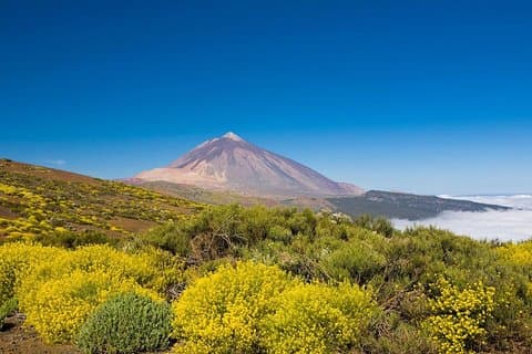Tour privato del vulcano e del Teide a Tenerife