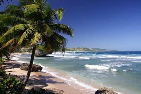 Från Liberias flygplats till Tamarindo Hotels Shuttle Service