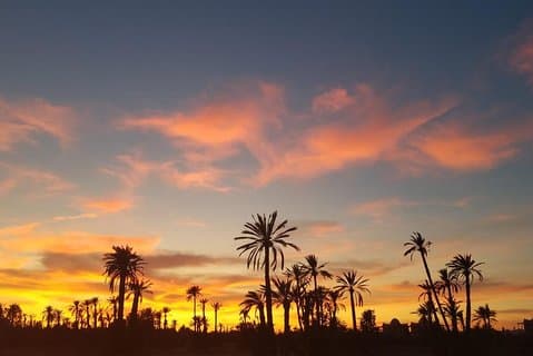 de beste kameelrit exp in woestijn van Marrakech