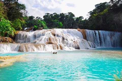From Palenque Tour to Agua Azul and Misol Ha