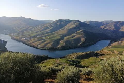 Private Hiking Through Douro Valley Wine Region Half Day Tour