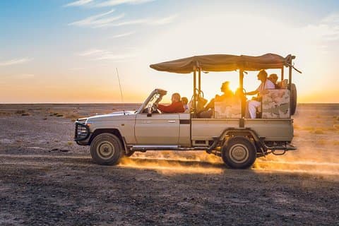 Experience Petra & Wadi Rum in One Day From Amman