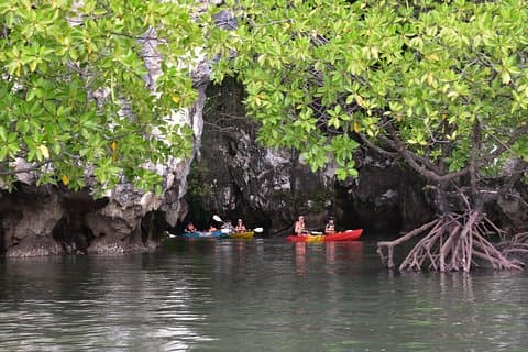 Kayak di mare per piccoli gruppi nella baia di Ao Thalane e Hong Island da Krabi