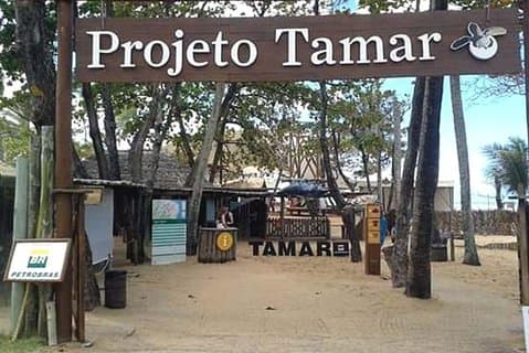 Fort Beach Tour and Tamar Project