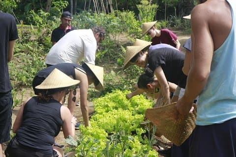 Fra Ubud: Autentisk Bali Farm Cooking School & Organic Farm