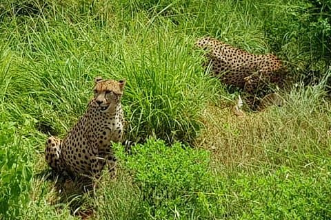 2 Days Tsavo East