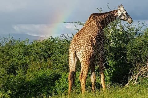 3 Dagen Tsavo East & West