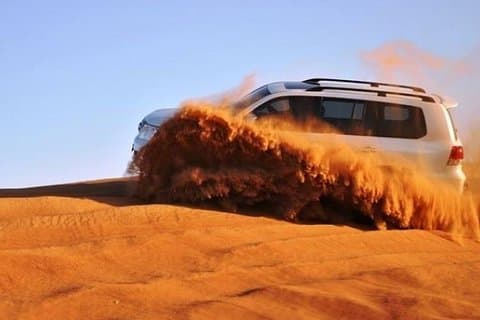 Safari privé dans le désert du matin