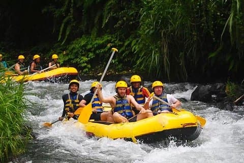 Rafting Telagawaja et visite de l'est de Bali