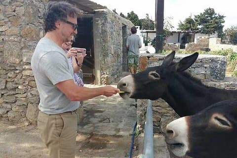 Visitez la ferme mykonienne à Mykonos