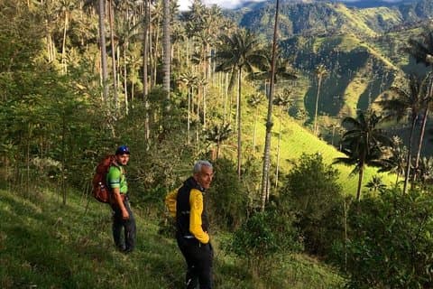 Wax Palm Feeling Hike (1 natt-2 dagar)