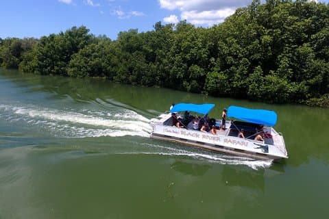 Black River Safari and YS Water Falls