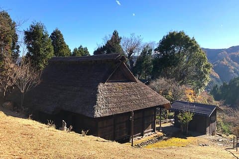 One Day Tour of Tokyo's Plentiful Nature in Hinohara Village