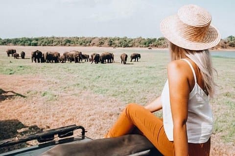Safari di mezza giornata al parco nazionale di Minneriya da Habarana