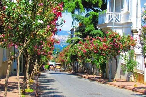 Buyukada Princes' Island Guided Day Tour met lunch vanuit Istanbul