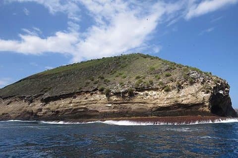 Snorklingstur på tortugaön från Isabela