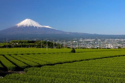 A trip to enjoy subsoil water and nature behind Mt. Fuji