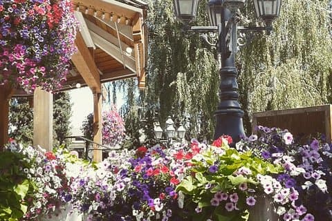 Luksus Leavenworth-dagstur gennem Cascade-bjergene