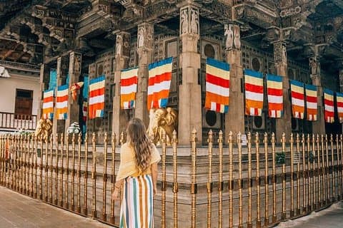 Giro turistico di Kandy da Bentota (tutto compreso)