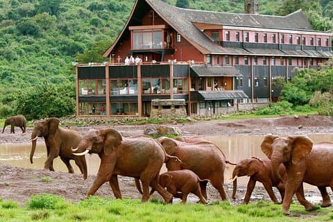 4 días en el parque nacional Aberdares y la reserva nacional Samburu Wildlife Safari