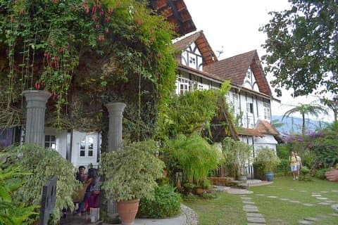 Cameron Highlands: Mossy Forest Tour